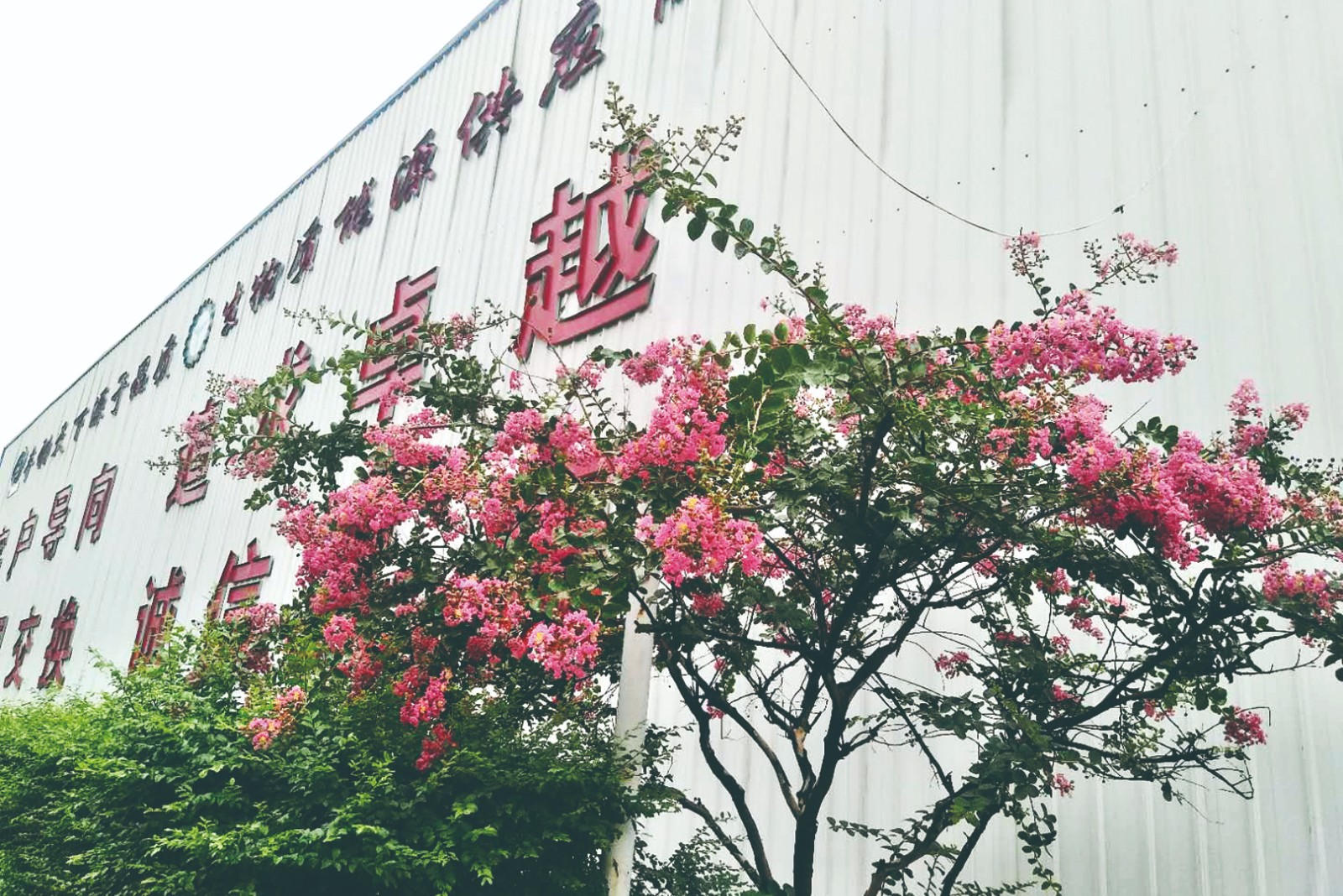 星空体育彩票官网廠家