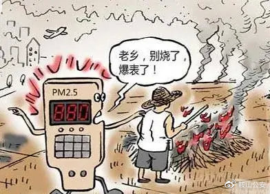 秸稈焚燒導致環境汙染