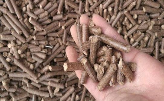 山東(dong) 陽信生物質燃料顆粒.jpg