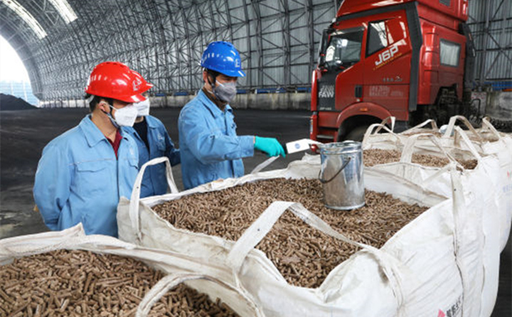 上海石化員工對木屑製粒機燃料進行采製樣.jpg
