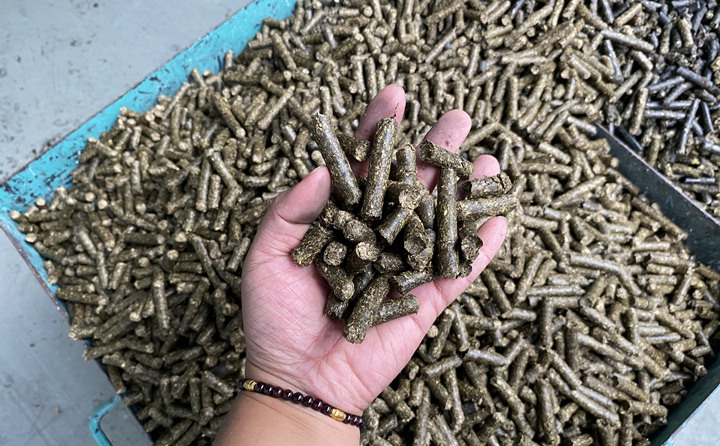 木屑製粒機的生物質顆粒燃料.jpg
