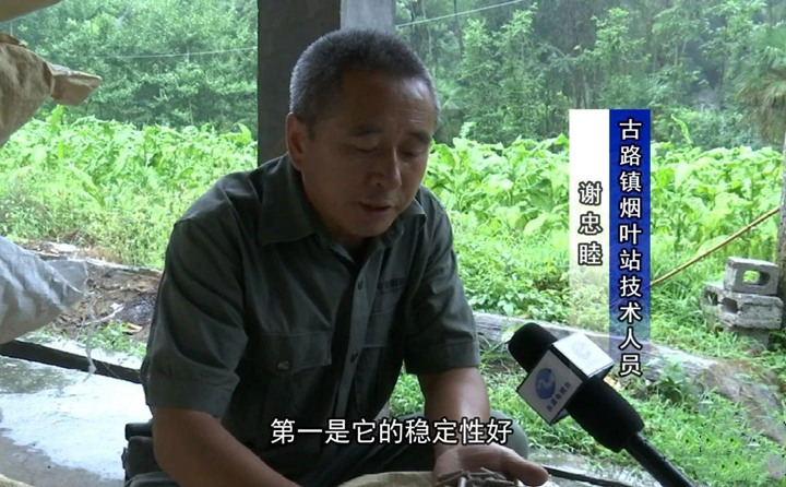 緊緊抓住木屑造粒機生物質顆粒燃料加工場地建設項目落地的契機，找準結合點，推動共和綜合服務型煙農(nong) 專(zhuan) 業(ye) 合作社與(yu) 生物質顆粒燃料加工廠的緊密合作.jpg
