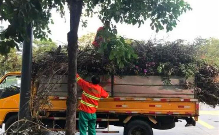園林綠化廢棄物再利用，南京棲霞年處理量超3萬(wan) 噸.jpg
