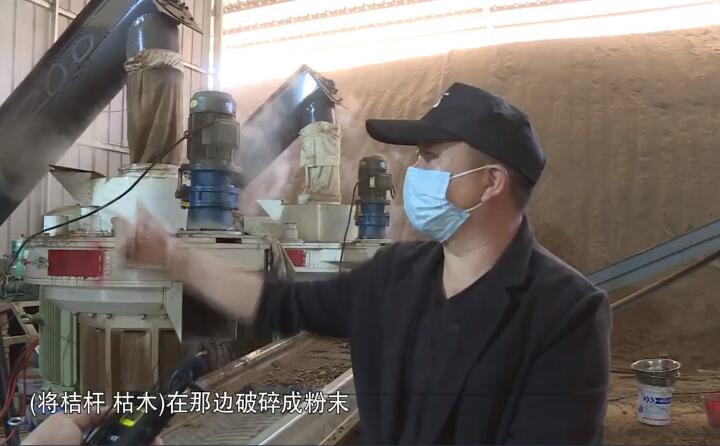 將桔杆、枯木在那邊破碎成粉末，然後經過這兩(liang) 個(ge) 造粒機的碾壓，形成這種顆粒燃料出來，形成最後的產(chan) 品.jpg