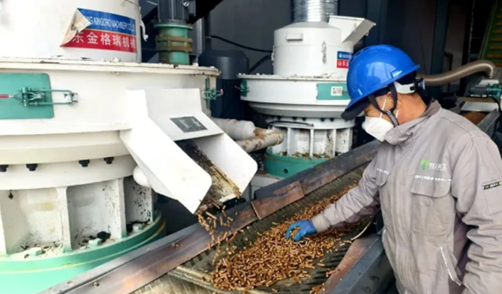 阿裏河森工公司生物質能源顆粒燃料加工廠.png